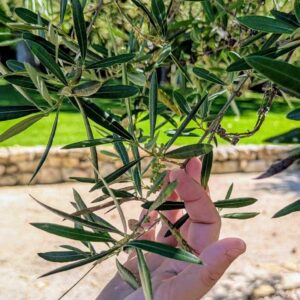 Retraite Bien-Etre en France, Respiration, Breathwork, kundalini retraite à Bali, sororité, bien-être, écoute et atelier de gratitude Retraite bali en français Retraite spirituelle à Bali Retraite de yoga à Bali Séance de Breathwork à Bali Retraite de méditation à Bali Bien-être à Ubud Séjour bien-être Bali Retraite de yoga et méditation à Bali Retraite de pleine conscience à Bali Vacances spirituelles à Bali Retraite entre femmes à Bali