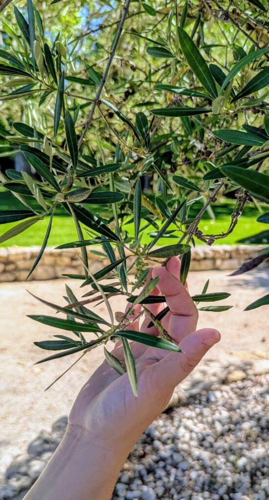 Retraite Bien-Etre en France, Respiration, Breathwork, kundalini retraite à Bali, sororité, bien-être, écoute et atelier de gratitude Retraite bali en français Retraite spirituelle à Bali Retraite de yoga à Bali Séance de Breathwork à Bali Retraite de méditation à Bali Bien-être à Ubud Séjour bien-être Bali Retraite de yoga et méditation à Bali Retraite de pleine conscience à Bali Vacances spirituelles à Bali Retraite entre femmes à Bali