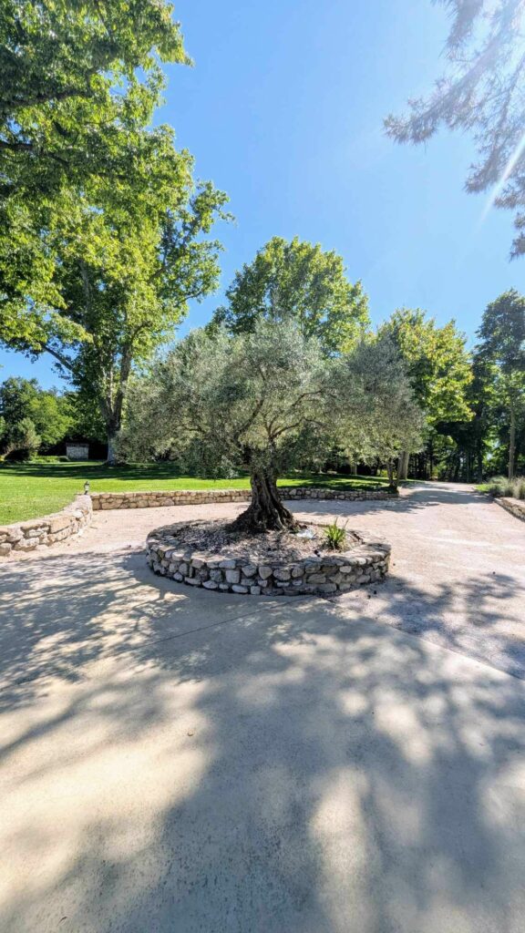 Retraite Bien-Etre en France, Respiration, Breathwork, kundalini retraite à Bali, sororité, bien-être, écoute et atelier de gratitude Retraite bali en français Retraite spirituelle à Bali Retraite de yoga à Bali Séance de Breathwork à Bali Retraite de méditation à Bali Bien-être à Ubud Séjour bien-être Bali Retraite de yoga et méditation à Bali Retraite de pleine conscience à Bali Vacances spirituelles à Bali Retraite entre femmes à Bali