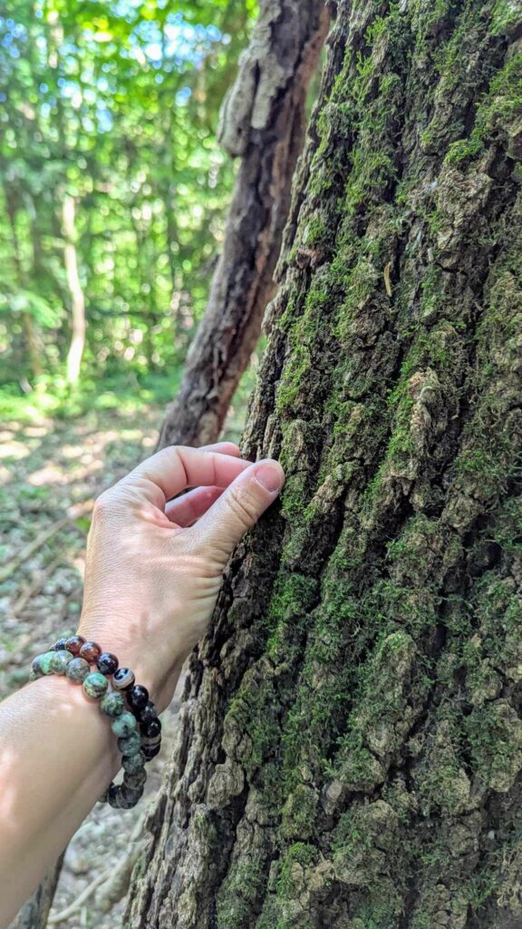 Retraite Bien-Etre en France, Respiration, Breathwork, kundalini retraite à Bali, sororité, bien-être, écoute et atelier de gratitude Retraite bali en français Retraite spirituelle à Bali Retraite de yoga à Bali Séance de Breathwork à Bali Retraite de méditation à Bali Bien-être à Ubud Séjour bien-être Bali Retraite de yoga et méditation à Bali Retraite de pleine conscience à Bali Vacances spirituelles à Bali Retraite entre femmes à Bali