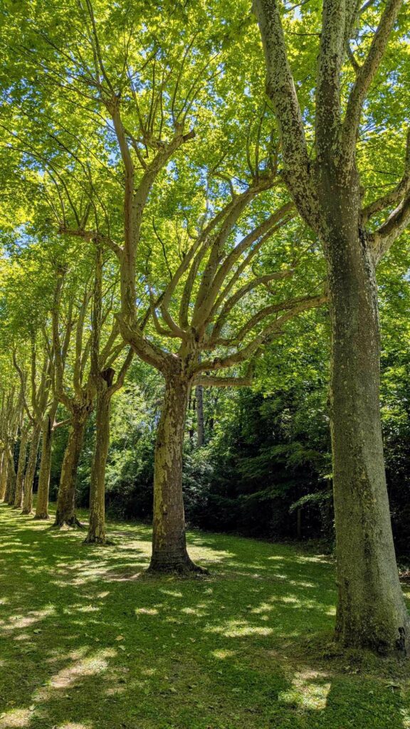 Retraite Bien-Etre en France, Respiration, Breathwork, kundalini retraite à Bali, sororité, bien-être, écoute et atelier de gratitude Retraite bali en français Retraite spirituelle à Bali Retraite de yoga à Bali Séance de Breathwork à Bali Retraite de méditation à Bali Bien-être à Ubud Séjour bien-être Bali Retraite de yoga et méditation à Bali Retraite de pleine conscience à Bali Vacances spirituelles à Bali Retraite entre femmes à Bali