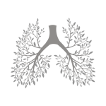 bien-être, breathwork et sound healing Bien être Retraite Bien Être Bali Retraite bali en français Retraite spirituelle à Bali Retraite de yoga à Bali Séance de Breathwork à Bali Retraite de méditation à Bali Bien-être à Ubud Séjour bien-être Bali Retraite de yoga et méditation à Bali Retraite de pleine conscience à Bali Vacances spirituelles à Bali Retraite entre femmes à Bali